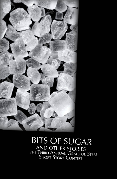 bits of sugar front cover for website